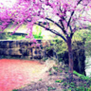 Meet your Posher, Bryanna